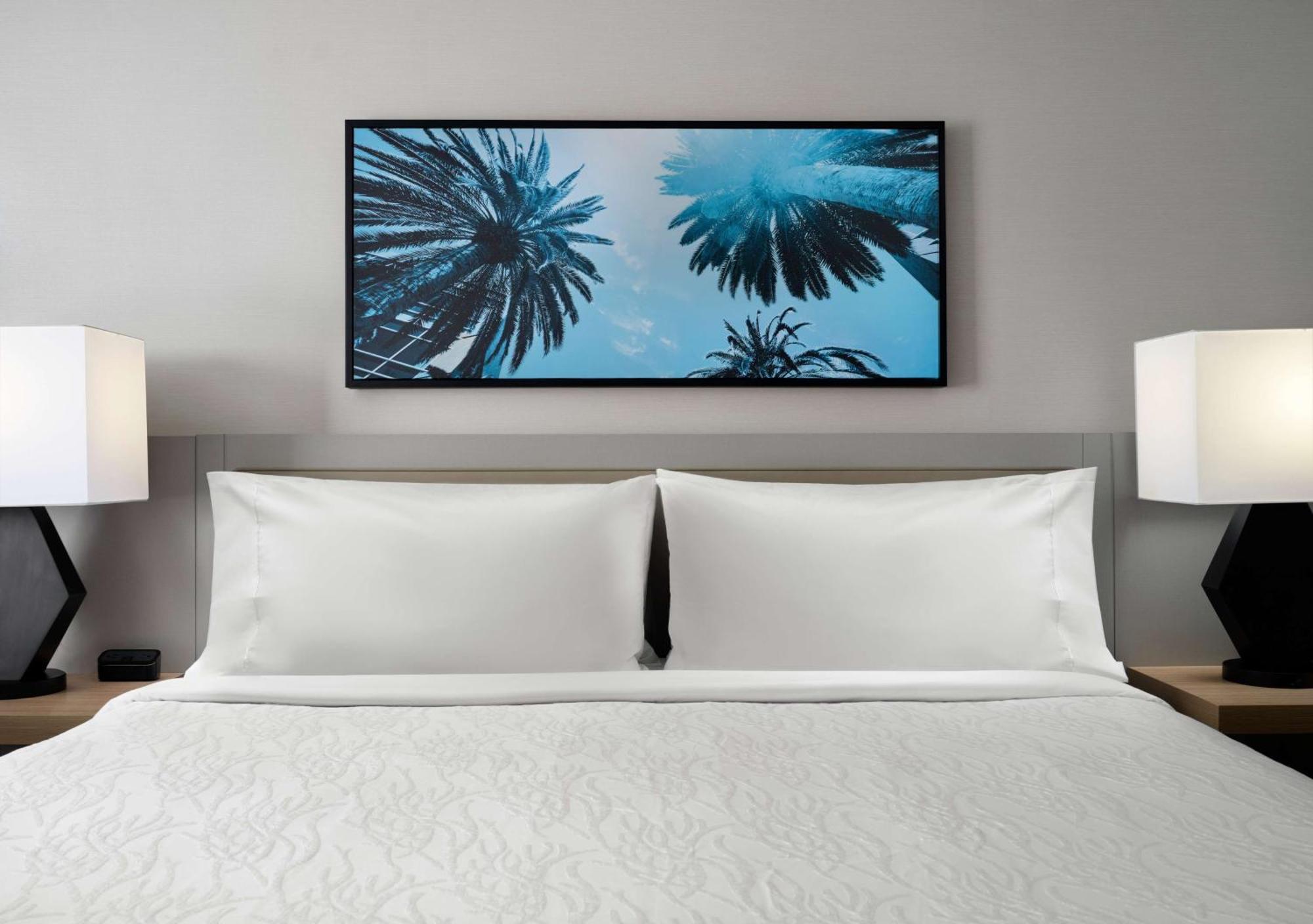 Hilton Garden San Jose/milpitas 3* Milpitas
